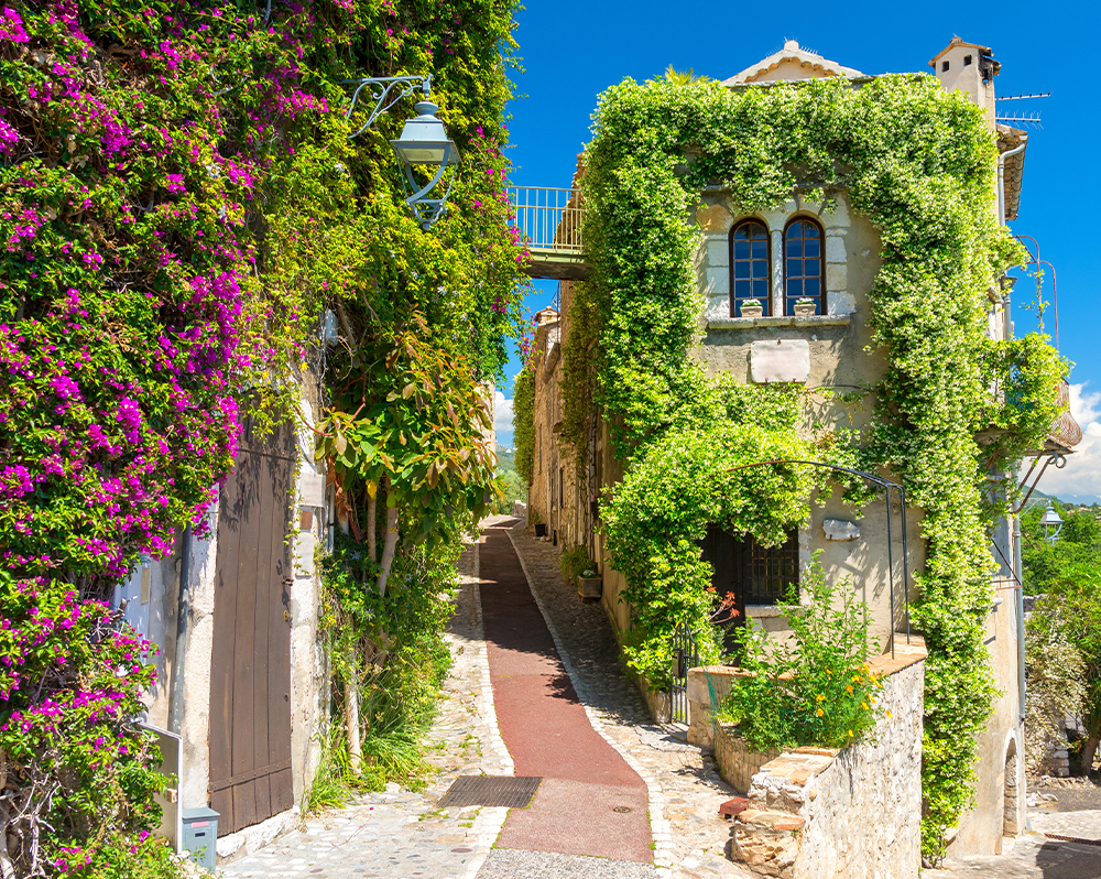 saint paul de vence immobilier