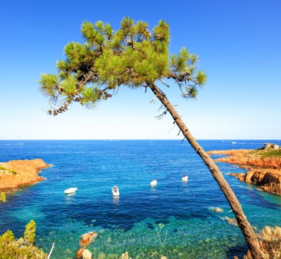 découverte et balade théoule sur mer