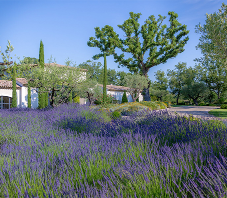 location saisonniere au calme luxe cote d azur