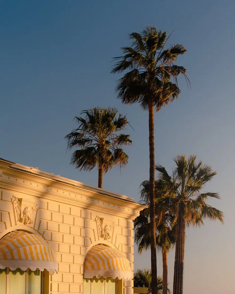 Immobilier de prestige à Cannes – Carlton International