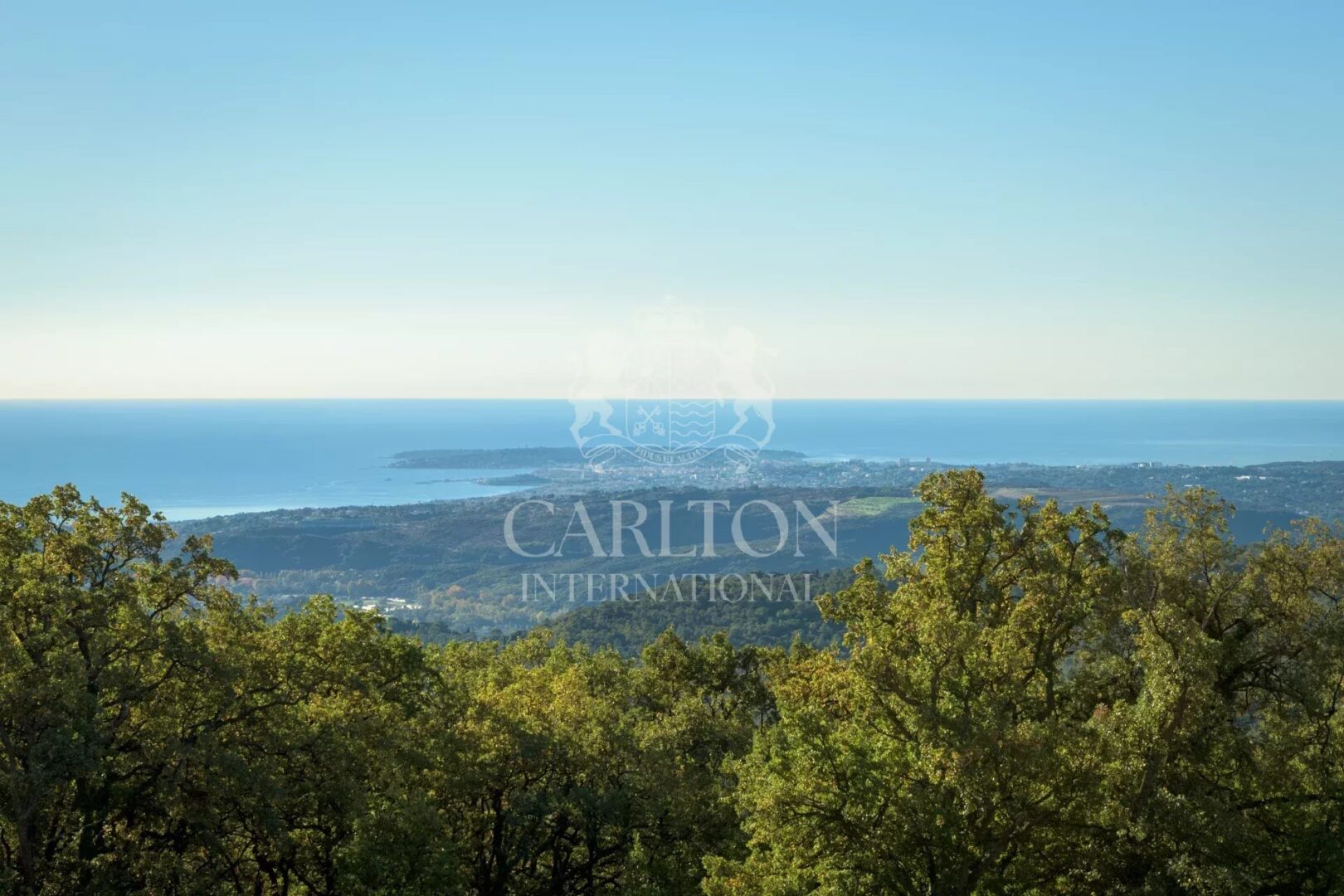 VENCE: GRUNDSTÜCK VON 4000M2 MIT HAUS MIT MEERBLICK MIT GROSSEM POTENTIAL